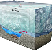 Phát hiện sự sống dưới lớp băng dày ở Nam Cực