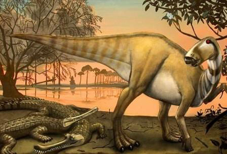 Phát hiện thế giới khủng long mất tích tại thành phố Texas