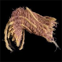 Phát hiện vải nhuộm màu tím hoàng gia 3.000 năm tuổi