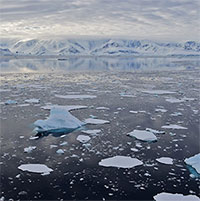 Phát hiện vai trò của các dòng hải lưu trong hiện tượng thềm băng tan chảy