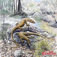 Phát hiện về hóa thạch thằn lằn 52 triệu năm hé lộ 