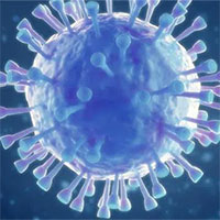 Phát hiện virus corona mới ở Thụy Điển, 