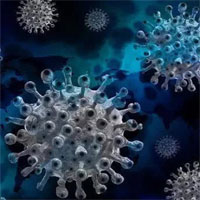 Phát hiện vũ khí chống lại tất cả virus corona, bao gồm SARS-CoV-2