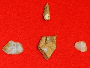 Phát hiện xương người niên đại 12.000 năm ở Nhật
