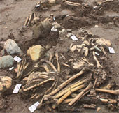 Phát lộ 70 ngôi mộ cổ táng nghiêng ở Cồn Cổ Ngựa