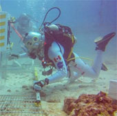 Phi hành gia Canada thử nghiệm sống 1 tuần dưới nước