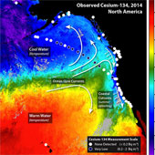 Phóng xạ Fukushima lan đến bờ biển Mỹ