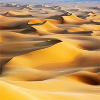 Quá trình biến Sahara từ rừng rậm thành sa mạc