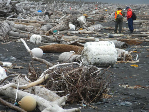 Rác sóng thần Nhật đổ bộ lên Alaska