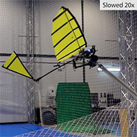 Robot bay vỗ cánh có thể đậu xuống thanh ngang bằng móng vuốt như chim