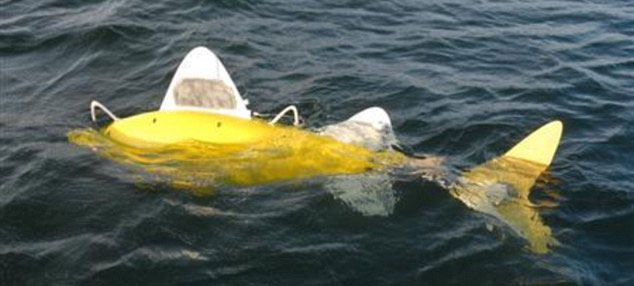 Robot cá phát hiện nước ô nhiễm