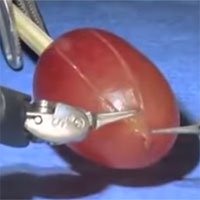 Robot phẫu thuật “khoe” khả năng đáng kinh ngạc bằng cách mổ… một quả nho!