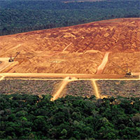 Rừng Amazon đang bị hủy diệt với tốc độ chưa từng thấy trong 10 năm qua