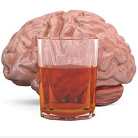 Rượu nhẹ đến vừa phải cũng có thể gây hại cho não bộ