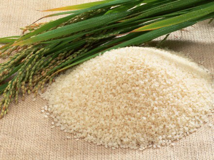 Sản xuất loại gạo có bổ sung thêm chất sắt