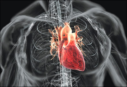 Siêu âm trong lòng động mạch vành