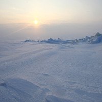 Sinh vật kỳ dị ở Nam Cực: Khoa học phải nghĩ lại việc tìm sự sống ngoài Trái đất