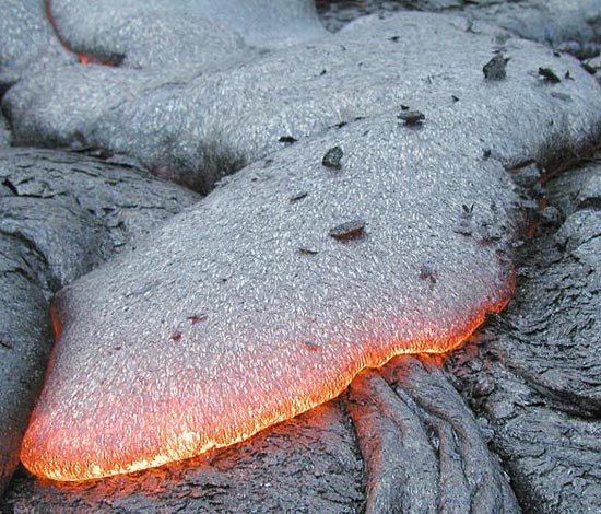 Sinh vật phù du phát triển mạnh nhờ núi lửa
