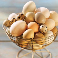 So sánh hàm lượng dinh dưỡng của trứng gà, trứng vịt, trứng cút... loại nào bổ dưỡng nhất?