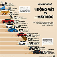 So sánh tốc độ của những động vật nhanh nhất với những chiếc xe nhanh nhất