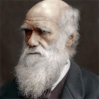 Sở thích ăn uống lạ lùng của Charles Darwin