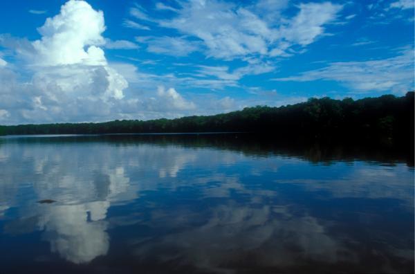 Sông Amazon 11 triệu năm tuổi