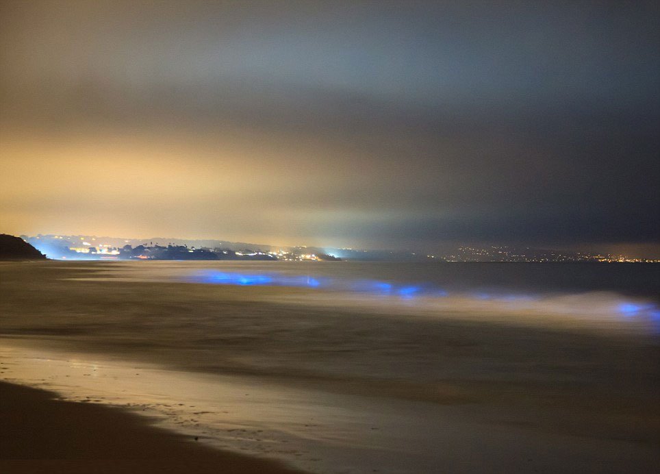 Sóng biển xanh bí ẩn lúc nửa đêm ở California