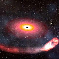 Sóng hấp dẫn nghi do hố đen nuốt chửng sao neutron phát ra