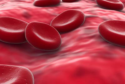 Sử dụng tế bào gốc của máu người để tiêu diệt HIV