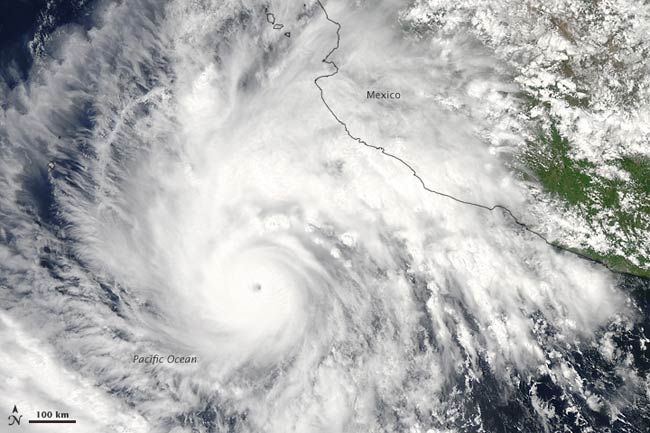 Tại sao bão Thái Bình Dương hiếm khi tấn công nước Mỹ?