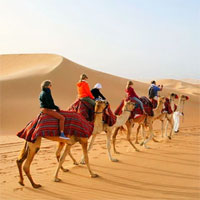 Tại sao các nước Ả Rập có vô số sa mạc nhưng vẫn nhập khẩu cát?