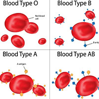 Tại sao chúng ta có các nhóm máu khác nhau?