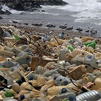 Tạo ra nhựa có thể phân rã trong nước biển