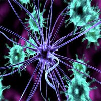Tế bào miễn dịch được cho là vô dụng thực ra là vũ khí chống lại HIV