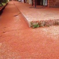 Thảm cua đỏ rực phủ kín hòn đảo Australia
