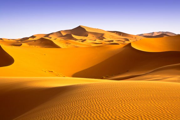 Thế giới hoang dã trên hoang mạc Sahara