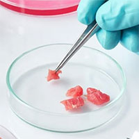 Thịt nuôi cấy trong phòng thí nghiệm liệu có thể thay thế 