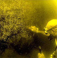 Thợ lặn phát hiện “báu vật pharaoh” hiện ra dưới đáy hồ