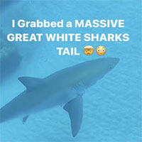 Thợ lặn thiếu niên may mắn thoát chết khi chạm trán với cá mập trắng lớn