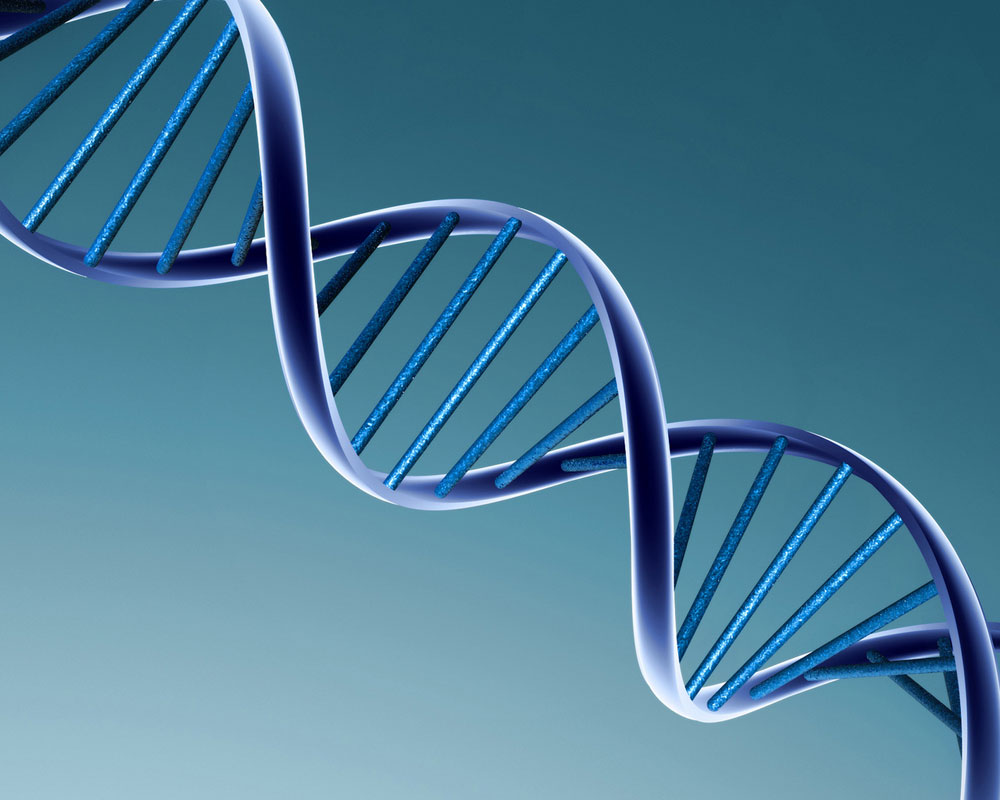 Thử ADN giúp ngăn ngừa bệnh tật