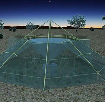 Thu thập nước trong không khí để trồng cây ở sa mạc