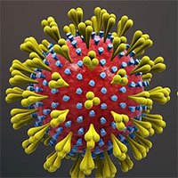 Tiến sĩ tại BV Nhi số 1 tại Mỹ phát hiện: Virus SARS-CoV-2 thay đổi hình dạng để 