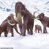 Tiết lộ cách loài voi ma mút “né“ tuyệt chủng, sống thêm 10.000 năm