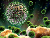 Tìm ra cơ chế duy trì sự lây nhiễm của virus HIV