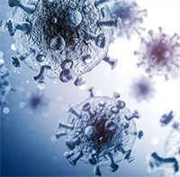 Tìm ra loại siêu kháng thể có thể vô hiệu hóa HIV