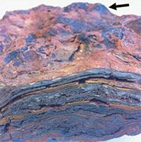 Tìm ra nơi sự sống Trái đất ra đời 3,5 tỉ năm trước, mang yếu tố sao Hỏa