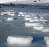 Tìm ra thủ phạm chính khiến các dòng sông băng tan chảy