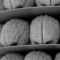 Tìm ra thuật toán mô phỏng bộ não con người, nhưng không có cỗ máy nào vận hành được