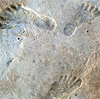 Tìm thấy dấu vết người đầu tiên khai phá Bắc Mỹ từ 23.000 năm trước