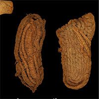 Tìm thấy dép 6.200 năm tuổi khiến giới khoa học bất ngờ